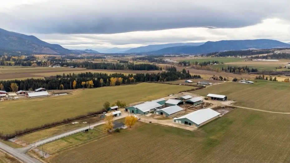 Spallumcheen dairy farm for sale with barns and irrigated acreage in the Spallumcheen Valley